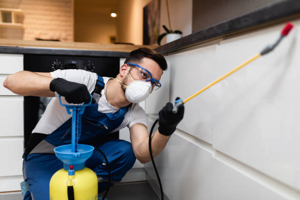 Best Local Pest Control Services  in Aptos Hills Larkin Valley, CA
