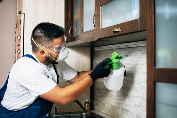 Aptos Hills Larkin Valley, CA Pest Control Company