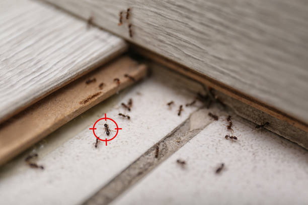 Best Cockroach Control Services  in Aptos Hills Larkin Valley, CA