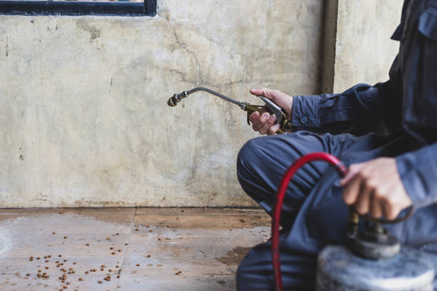 Best Wasp Removal Services  in Aptos Hills Larkin Valley, CA