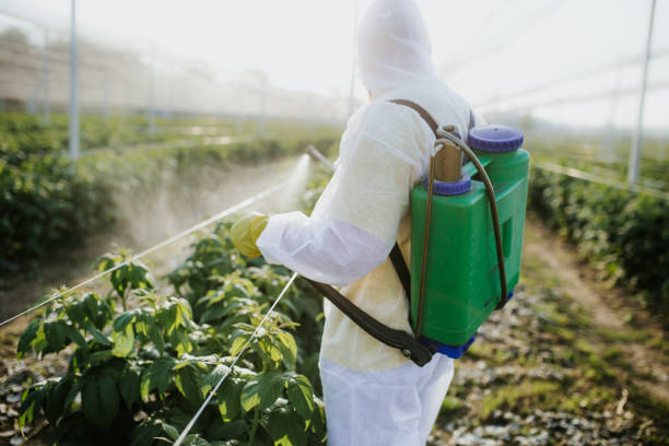 Best Commercial Pest Control Services  in Aptos Hills Larkin Valley, CA